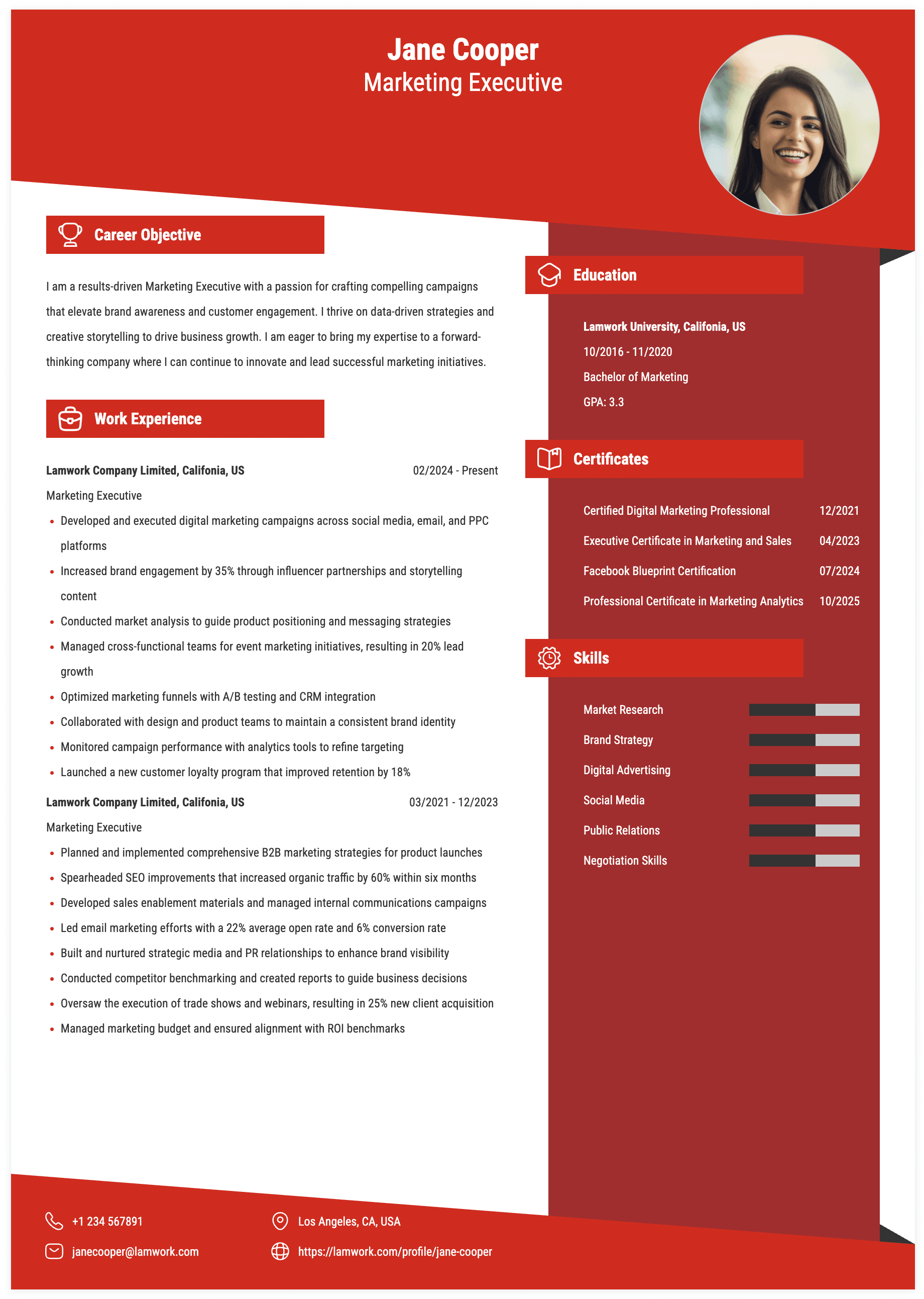 Marketing Executive Resume Example