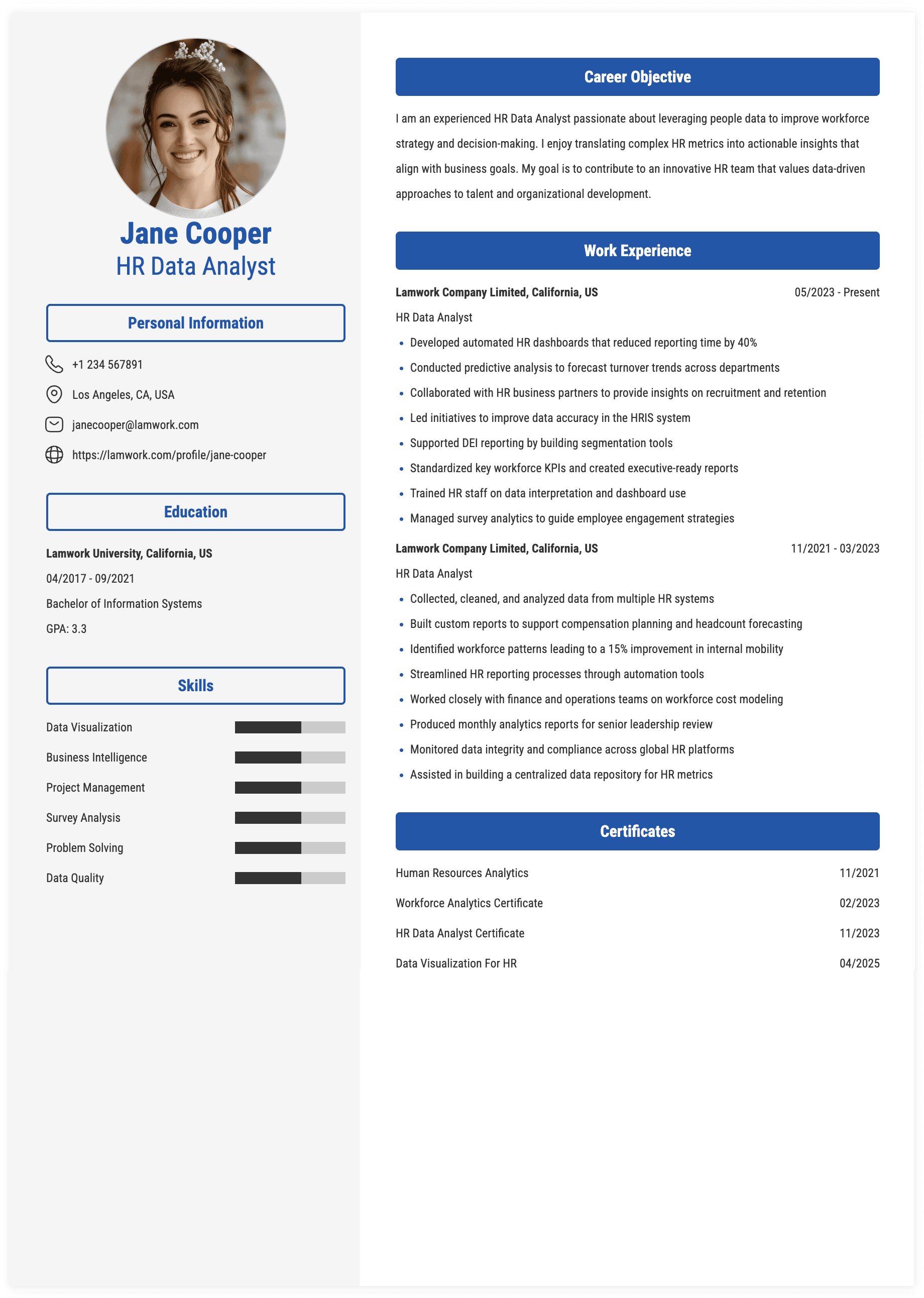 HR Data Analyst Resume Example