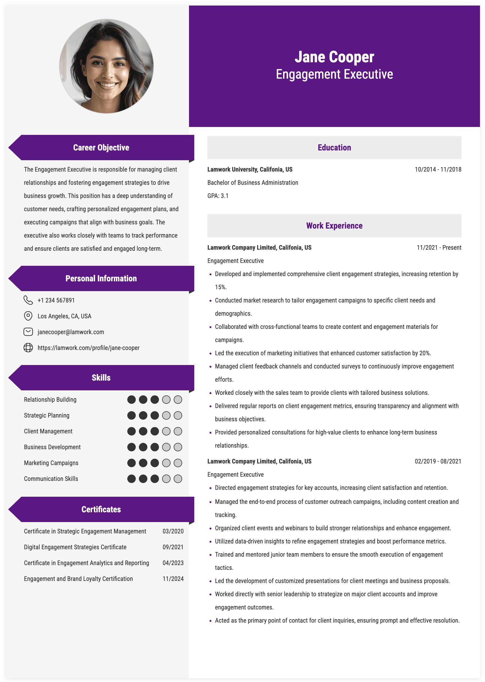 Engagement Executive Resume Example