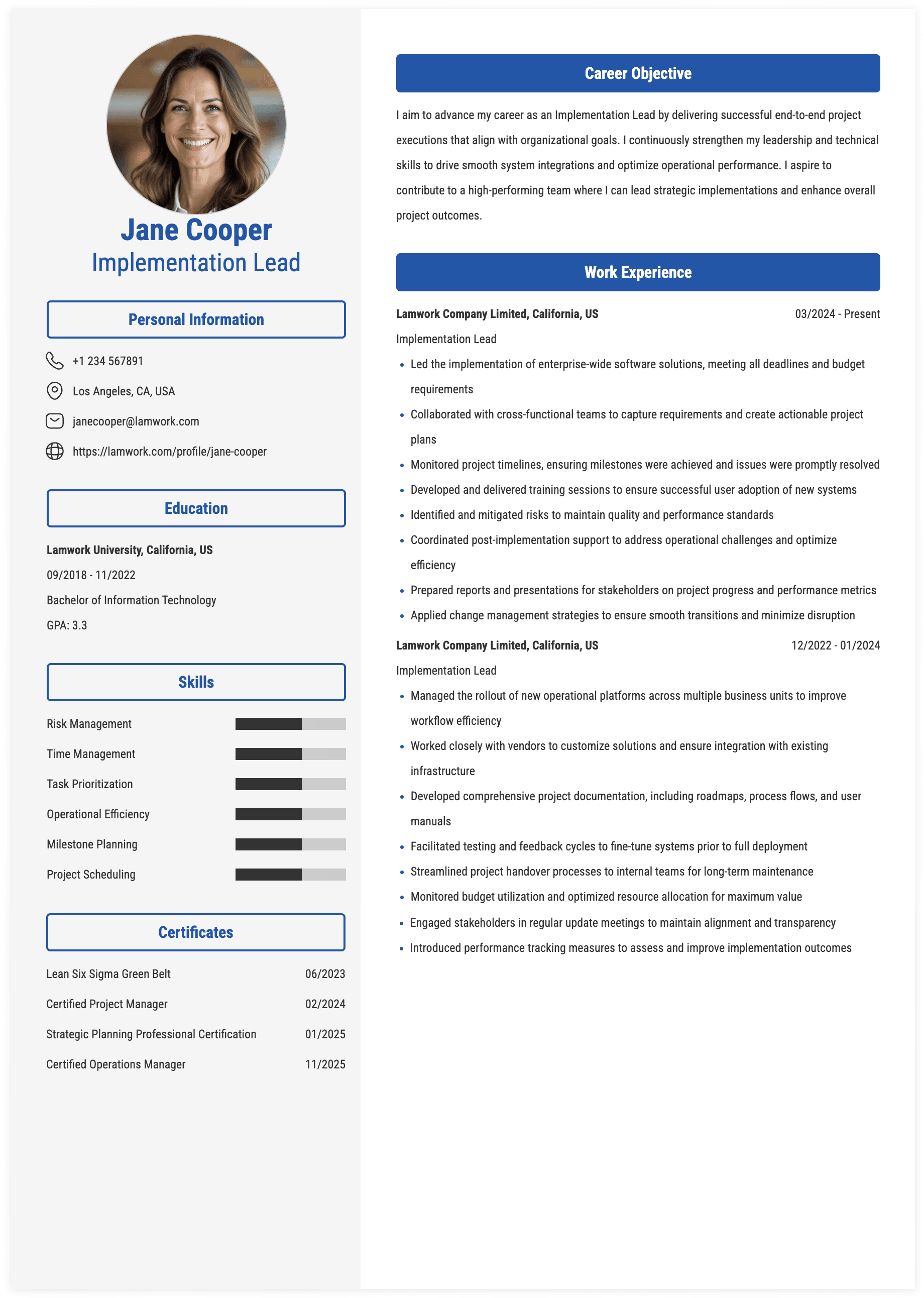 Implementation Lead Resume Example