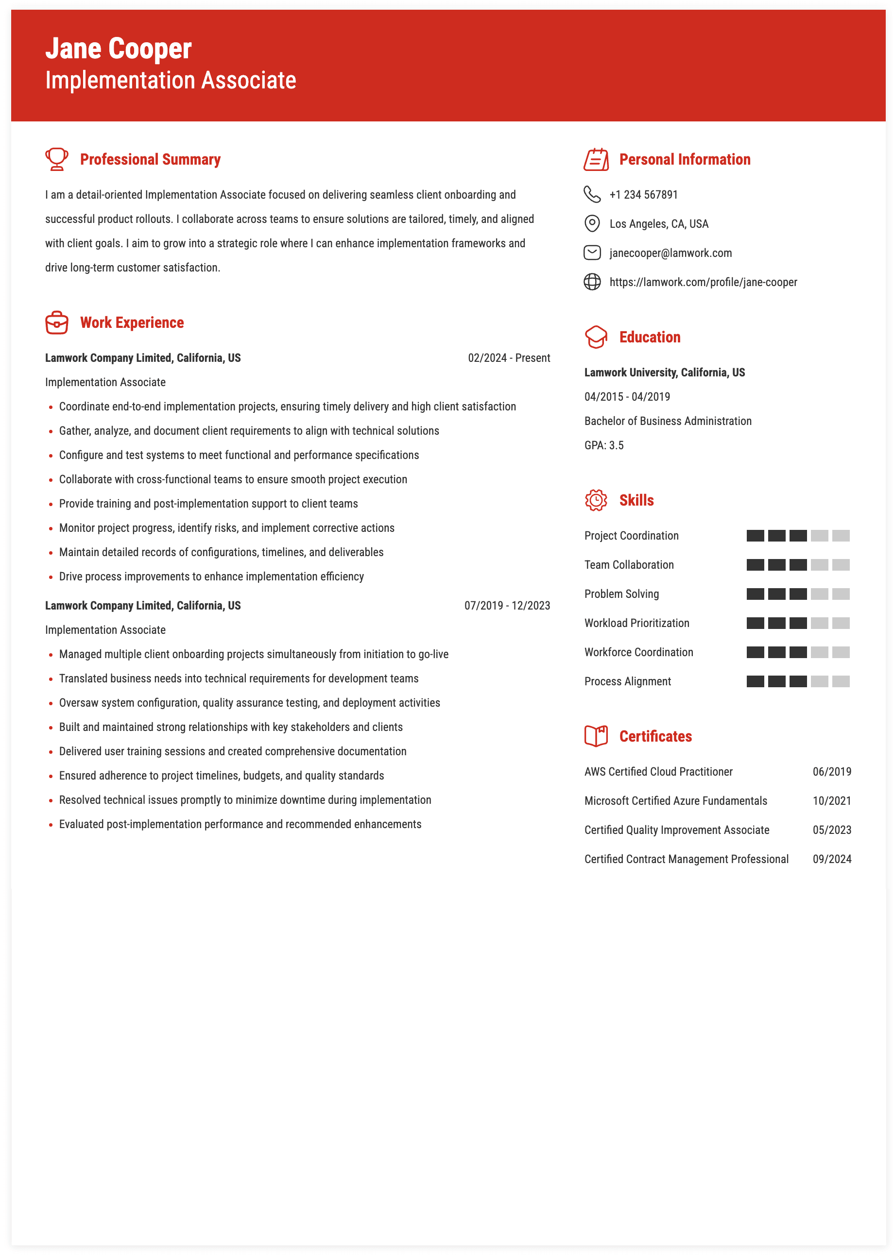 Implementation Associate Resume Example