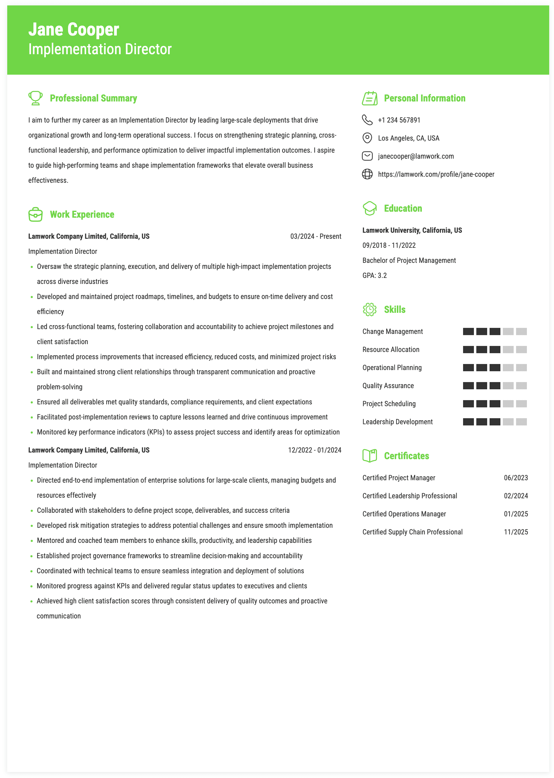 Implementation Director Resume Example
