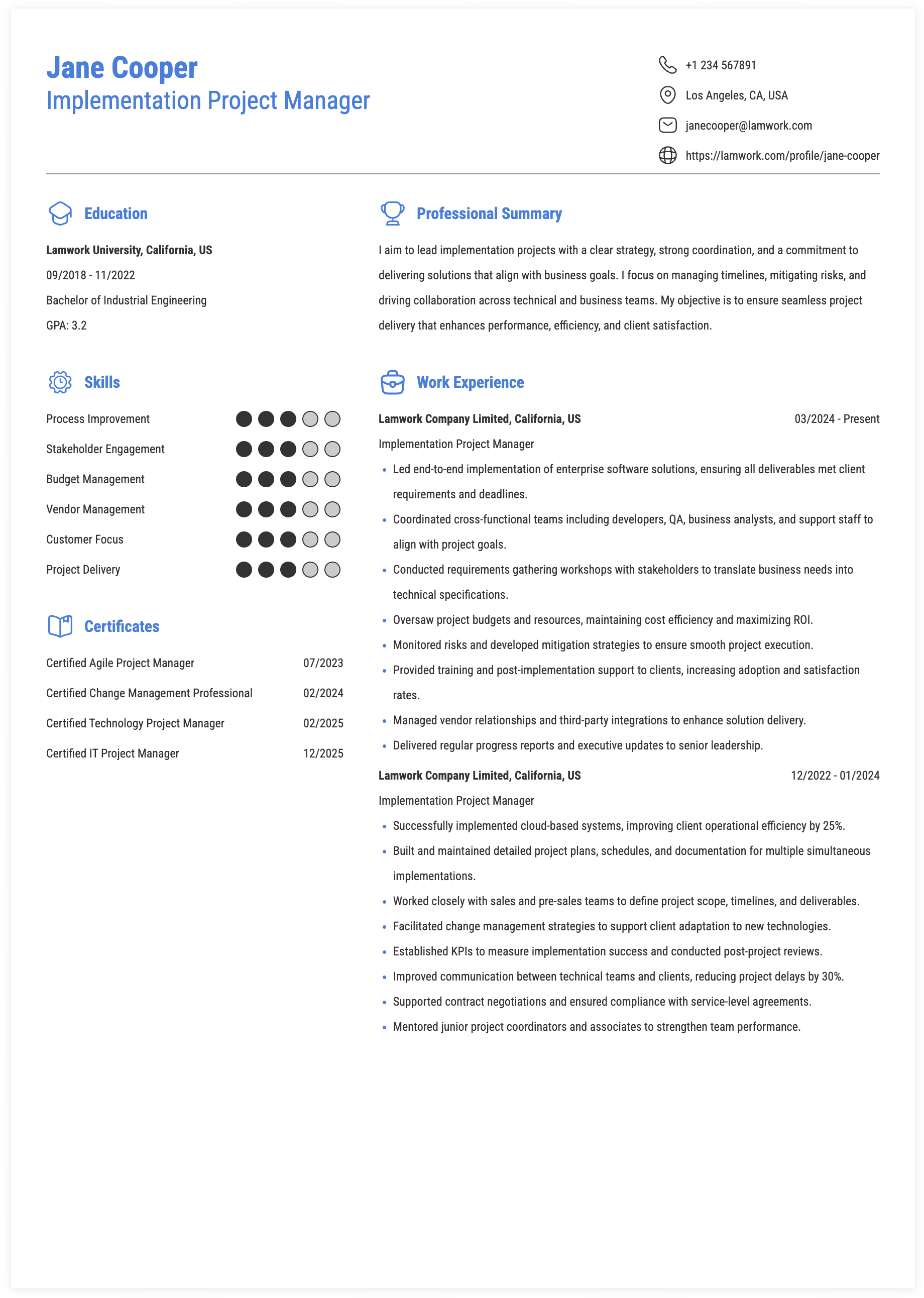 Implementation Project Manager Resume Example