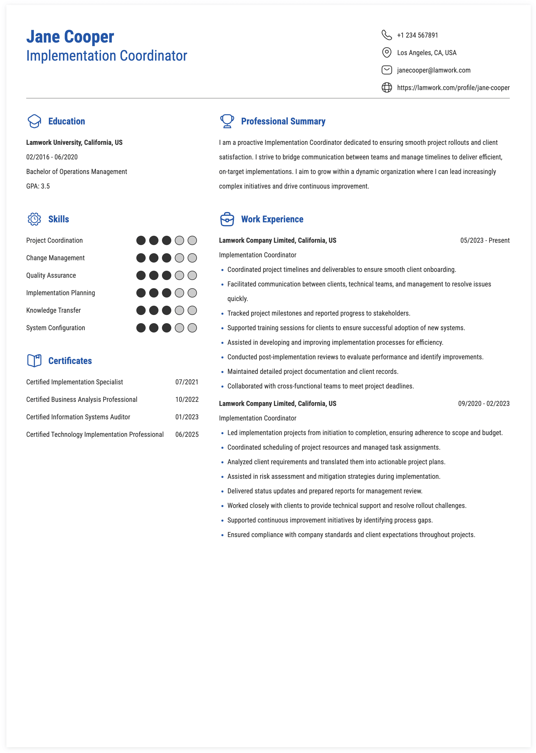 Implementation Coordinator Resume Example