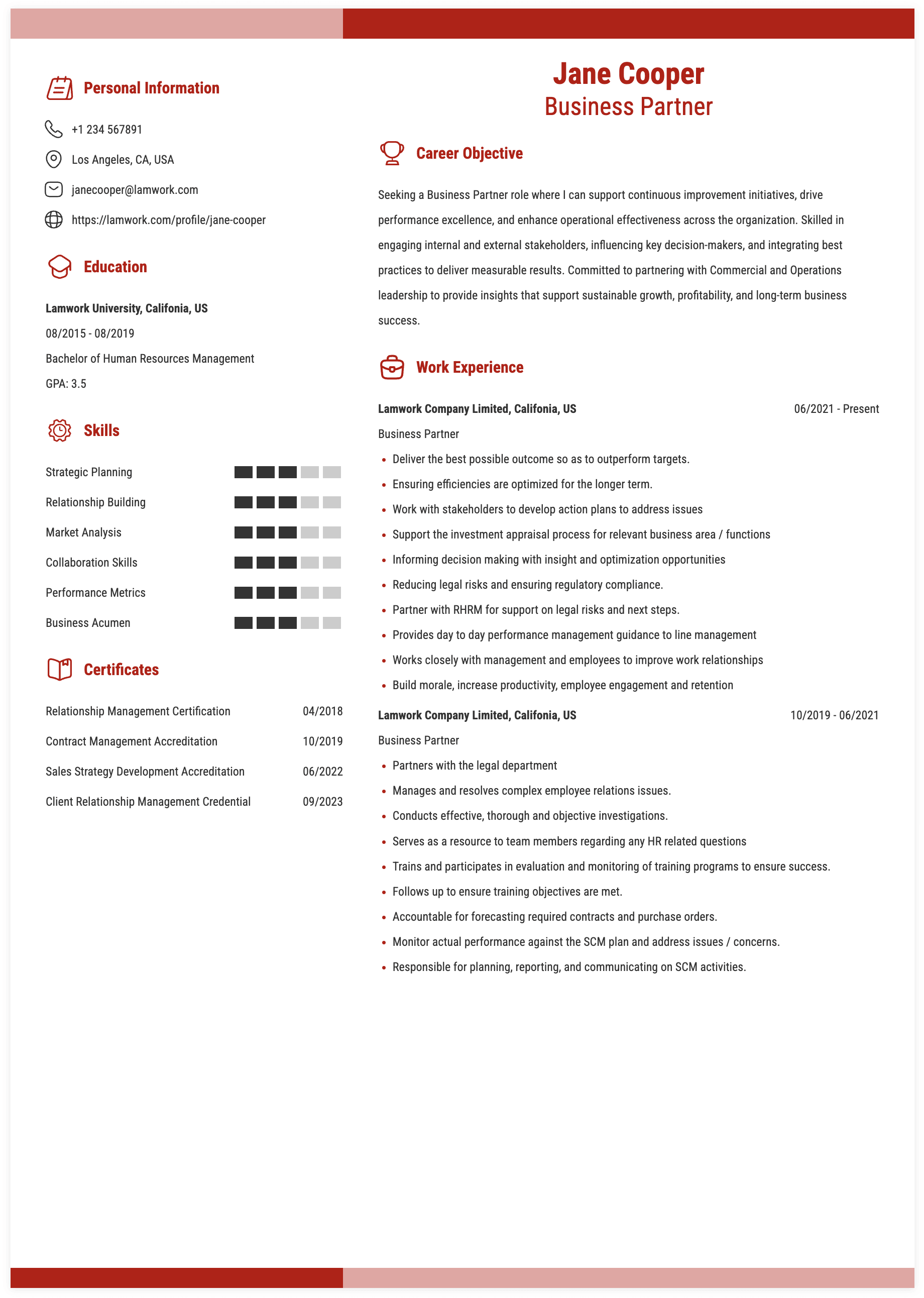 Business Partner Resume Example