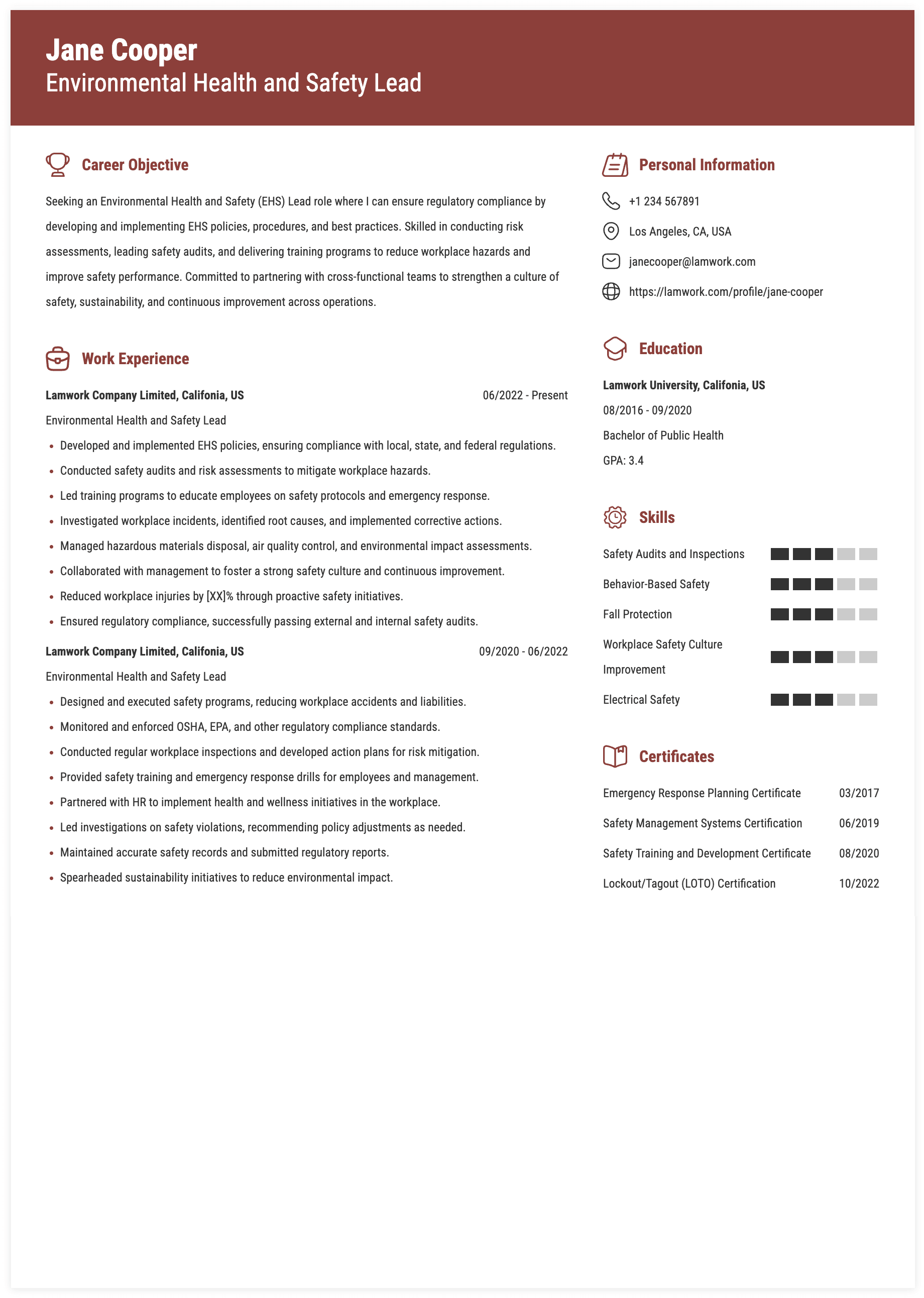 Environmental Health and Safety Lead Resume Example