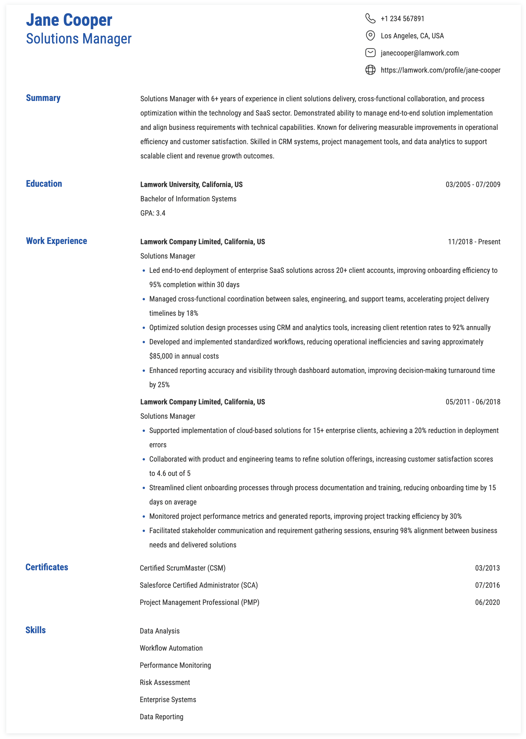 Solutions Manager Resume Example