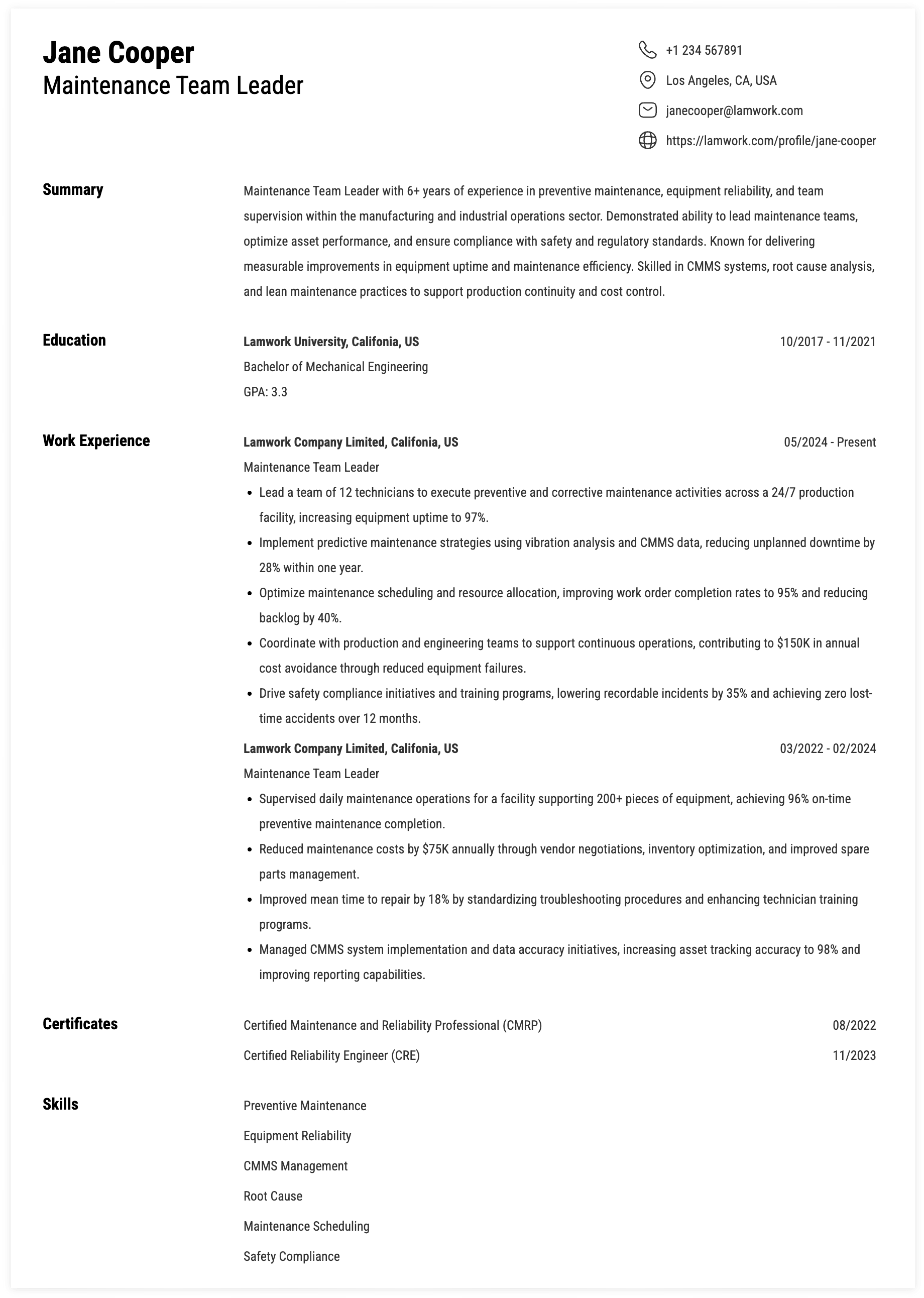 Maintenance Team Leader Resume Example