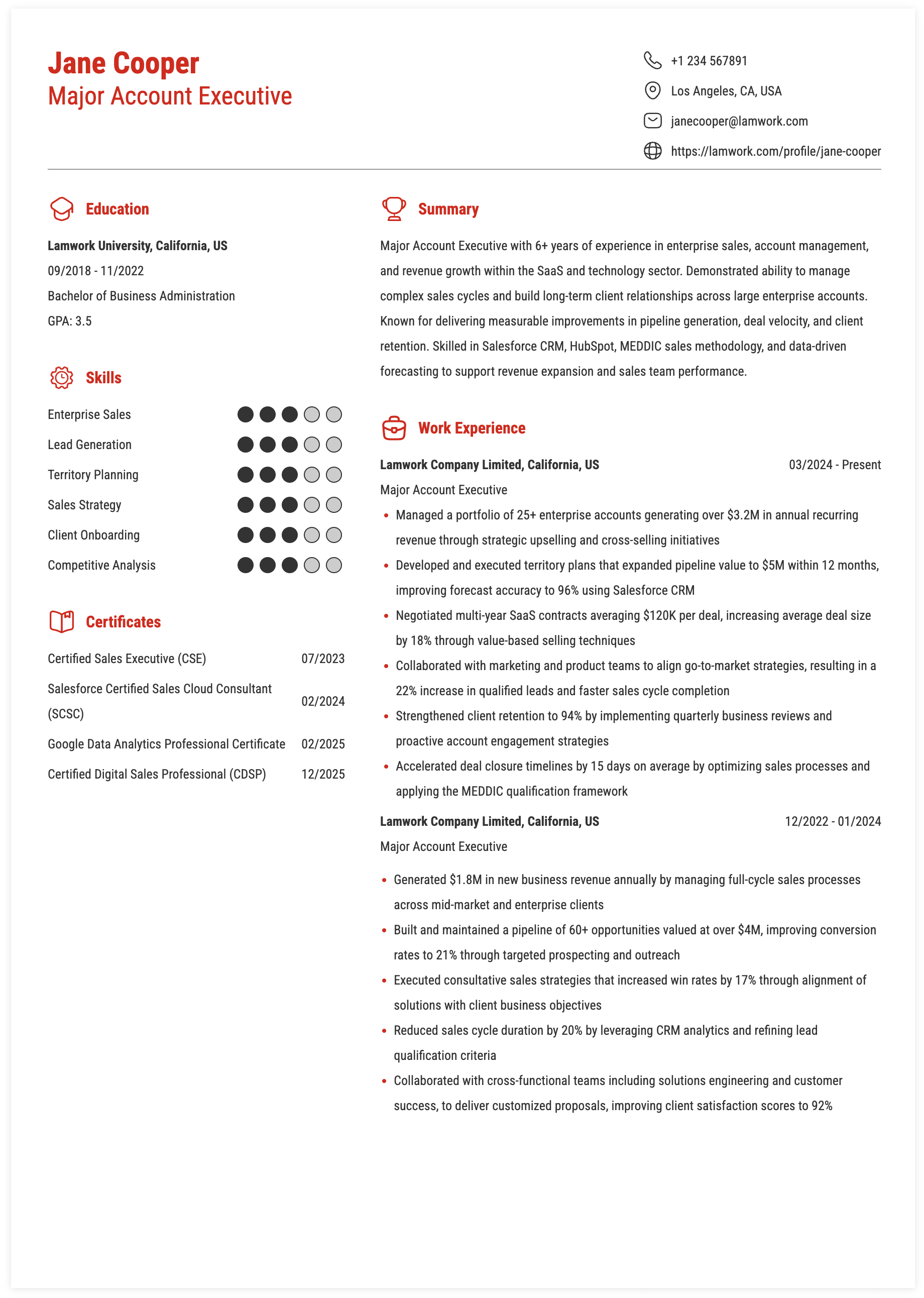 Major Account Executive Resume Example