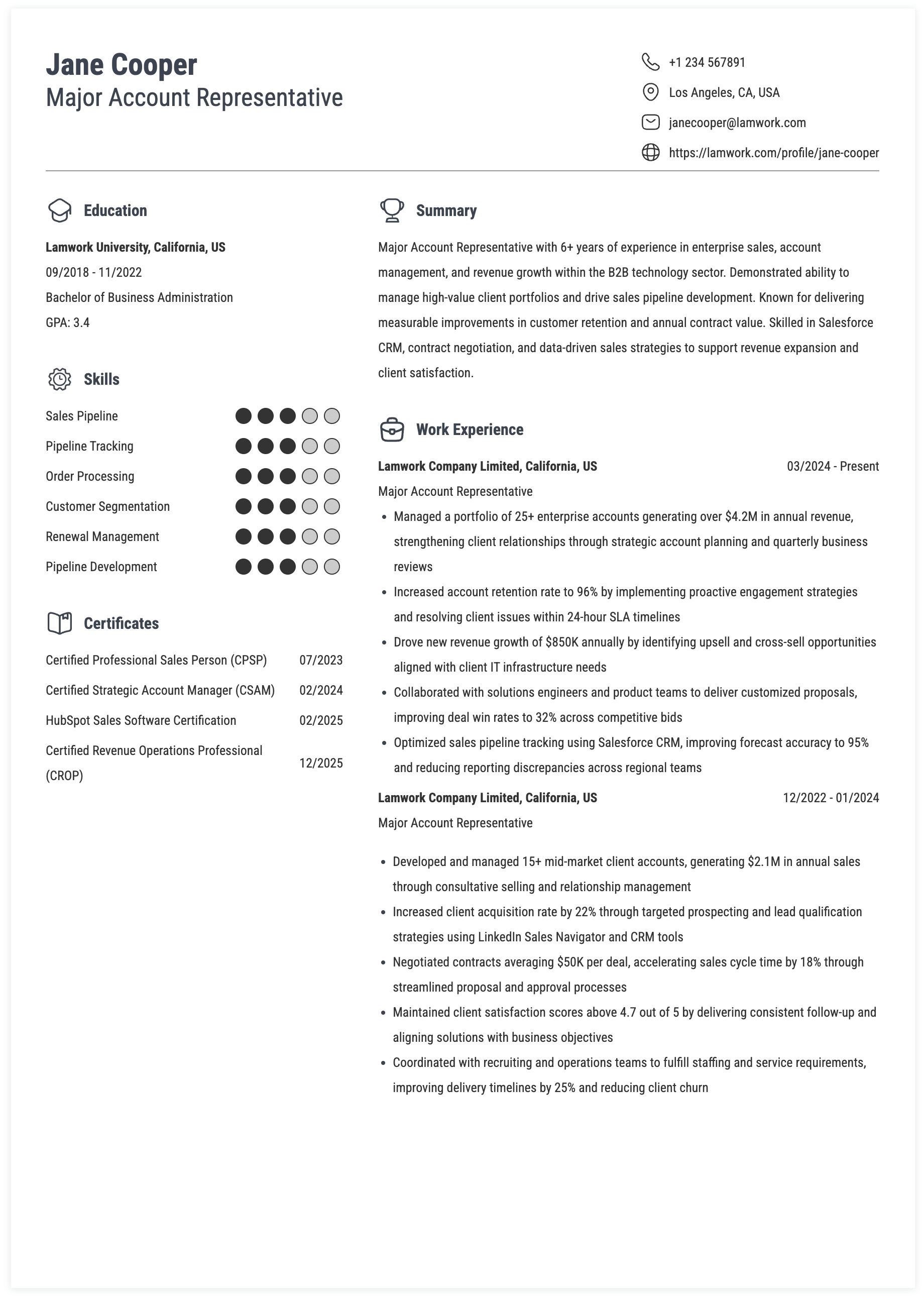 Major Account Representative Resume Example