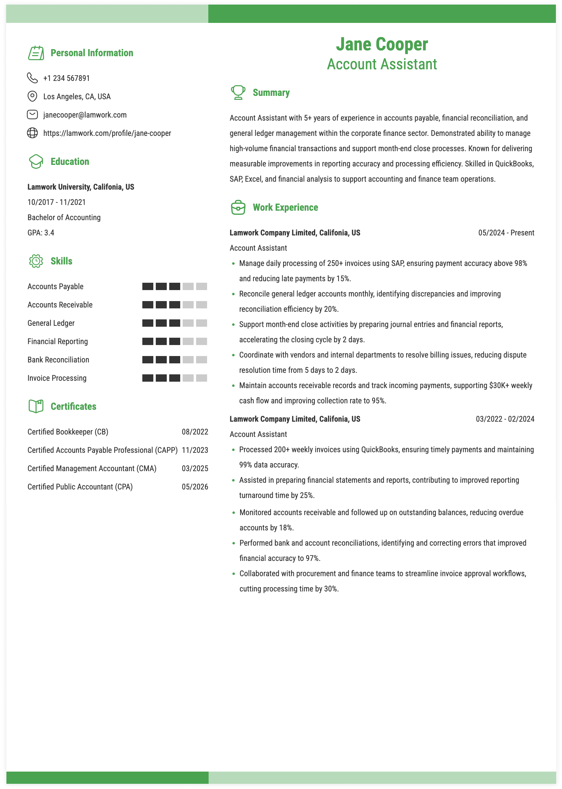 Account Assistant Resume Example